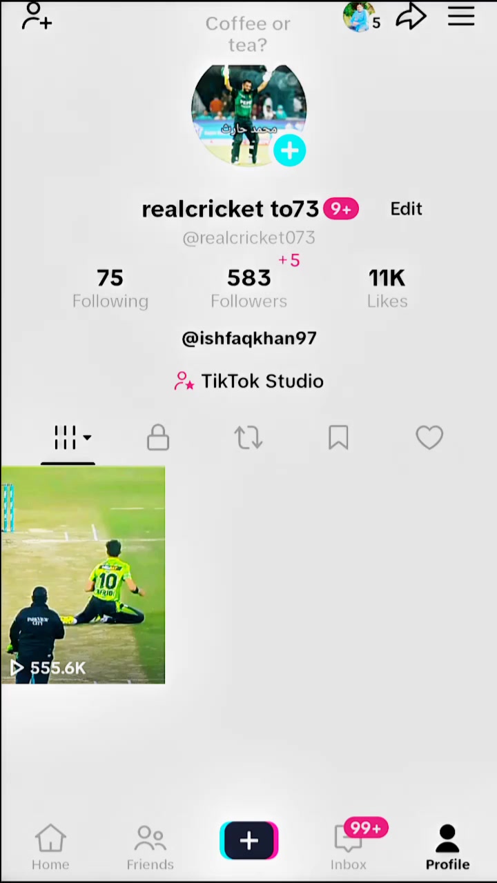 @realcricket to73