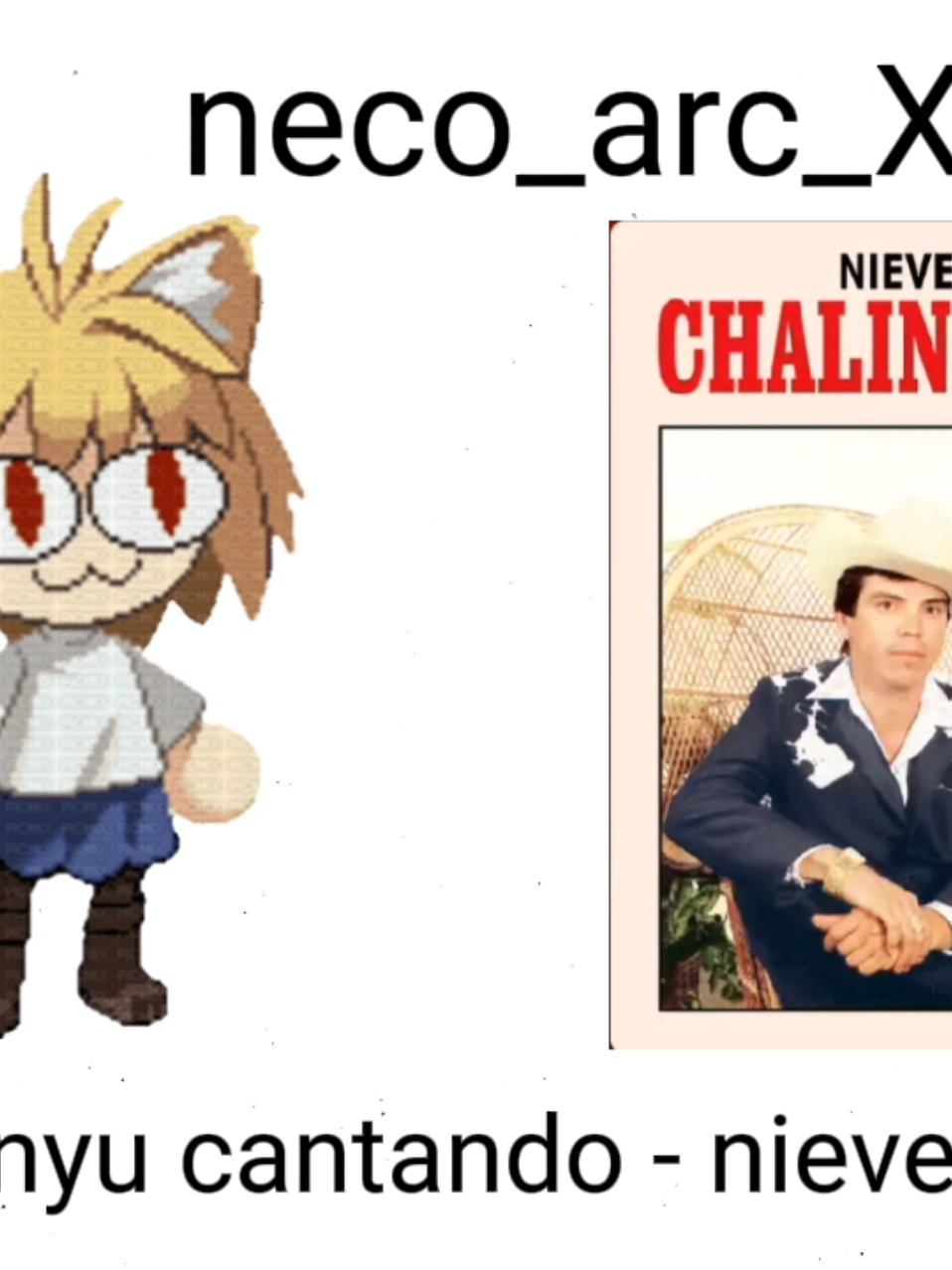 @neco_arc_XD