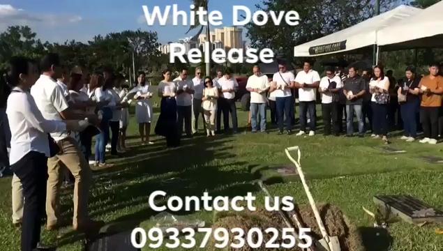 @White Dove Release Philippines