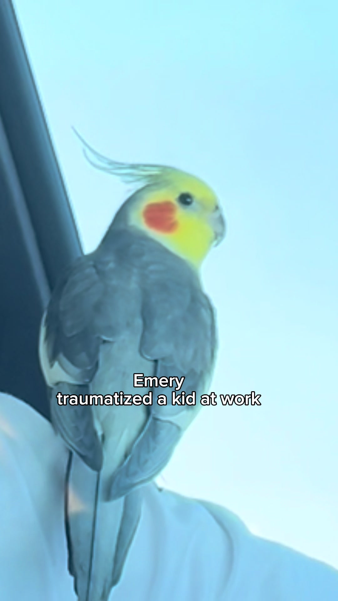 @Emery The Branch Manager