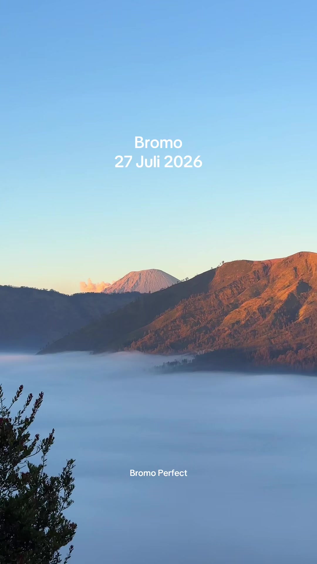 @Travel Bromo Probolinggo