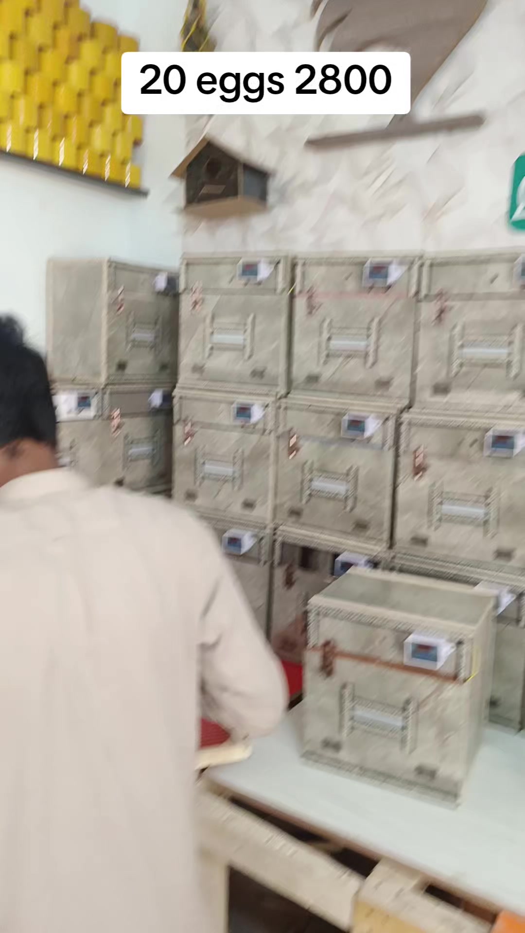 @Hazara Incubators