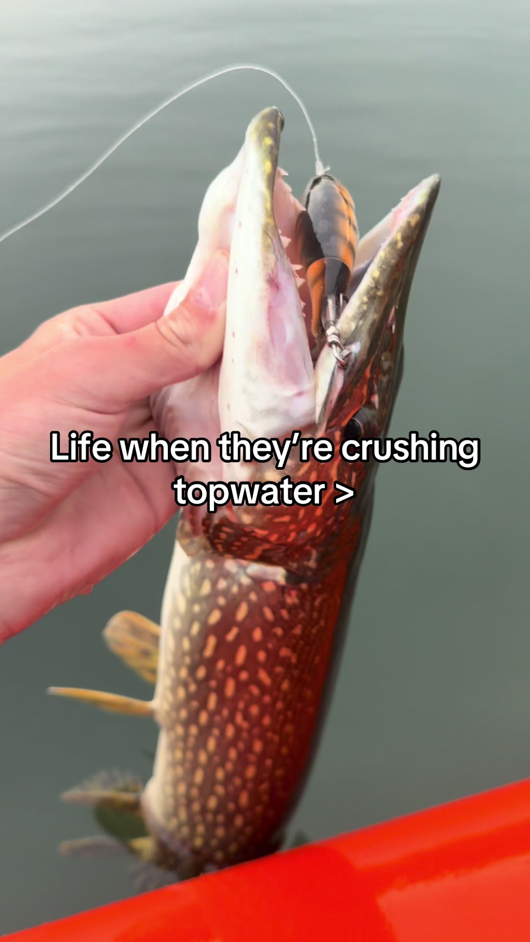 @FattBassFishing