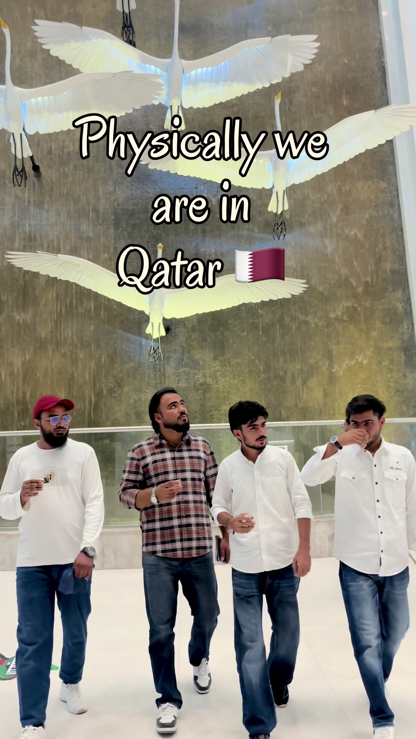 @Shuaib.qa974