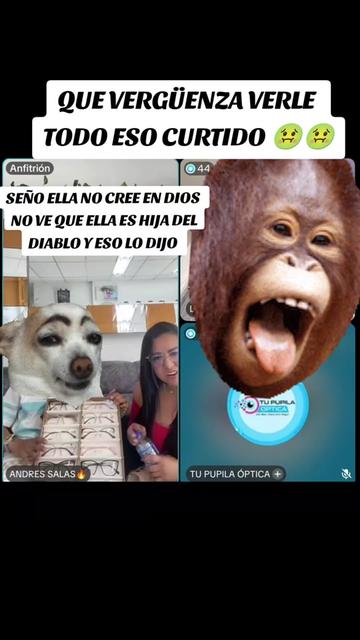 @Mantenida.com 🐟