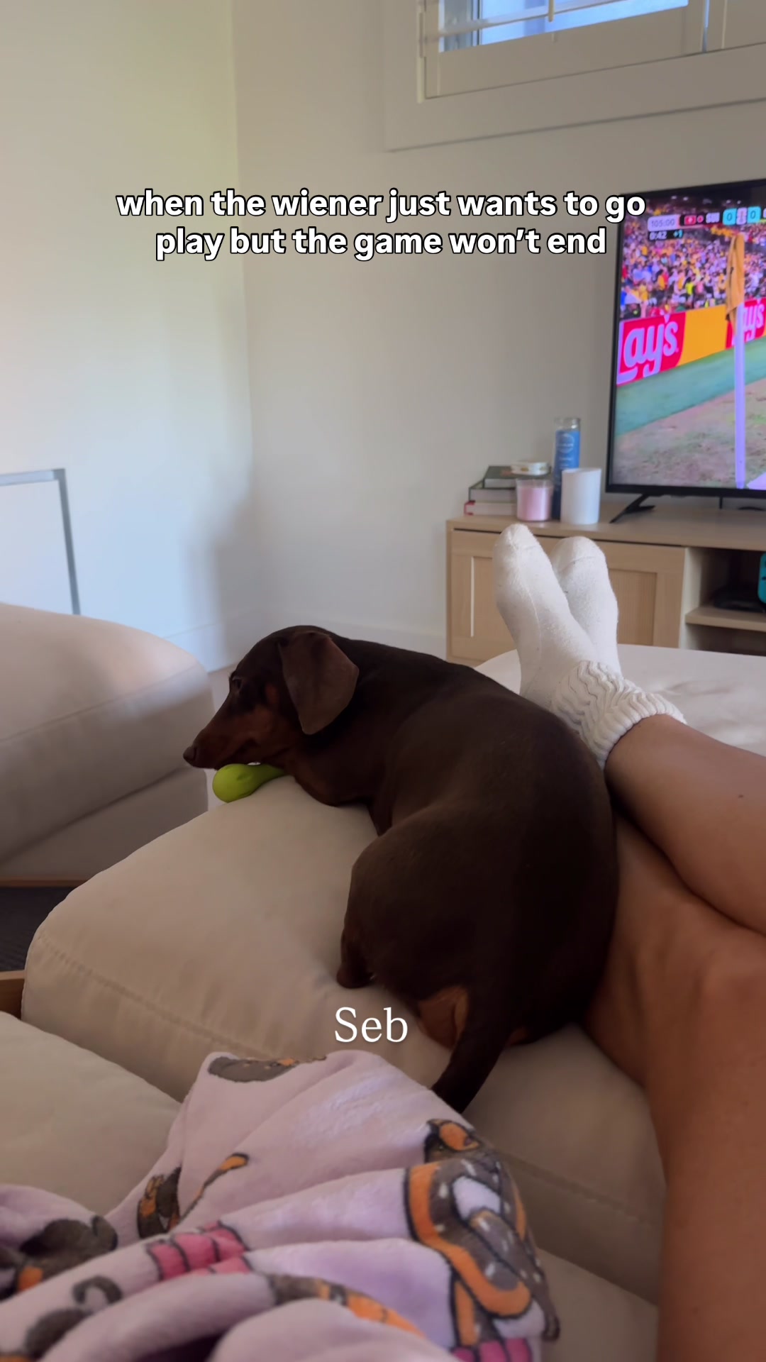 @sebbythesausage