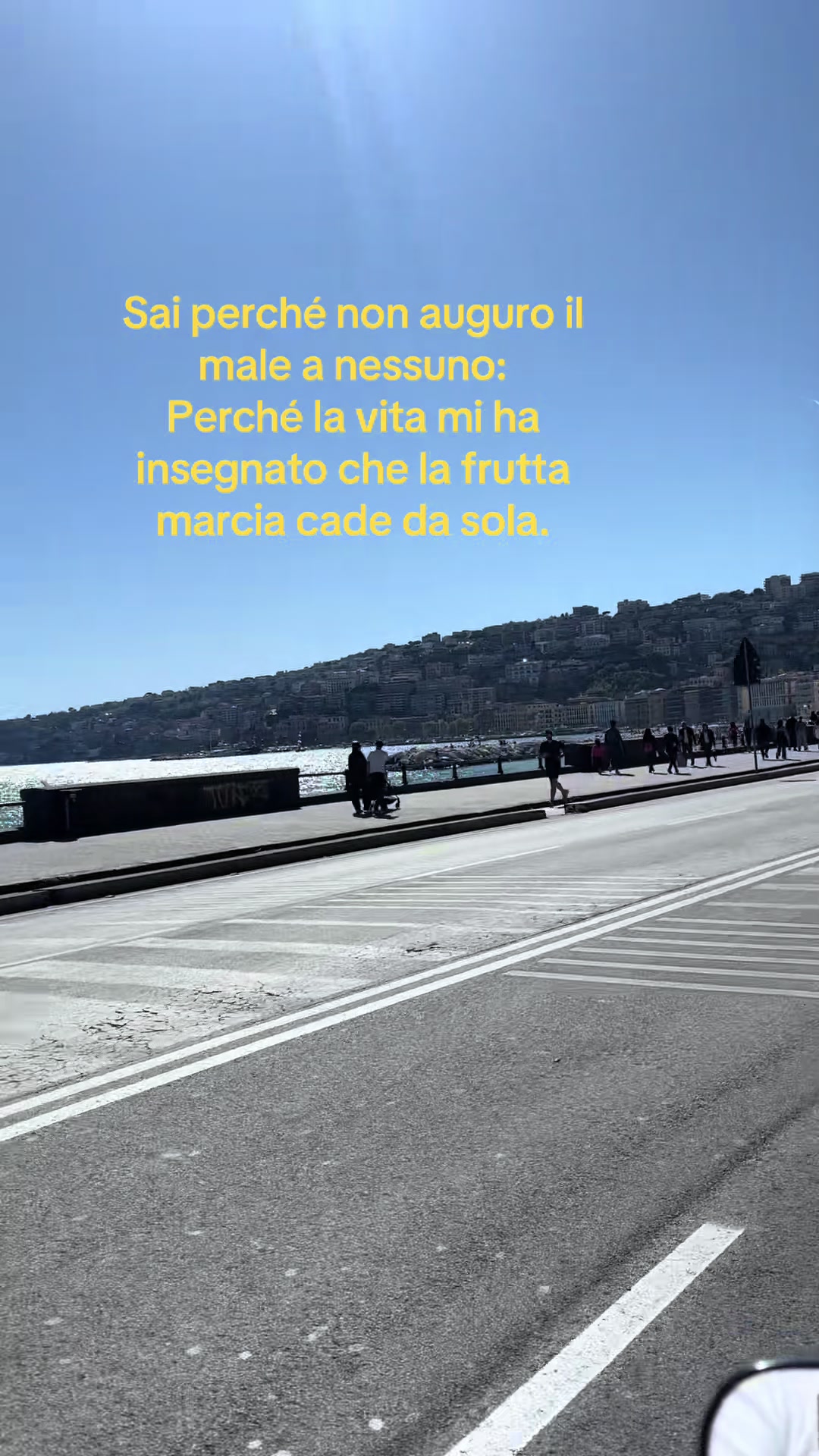 @🌸carmeladidato🌸