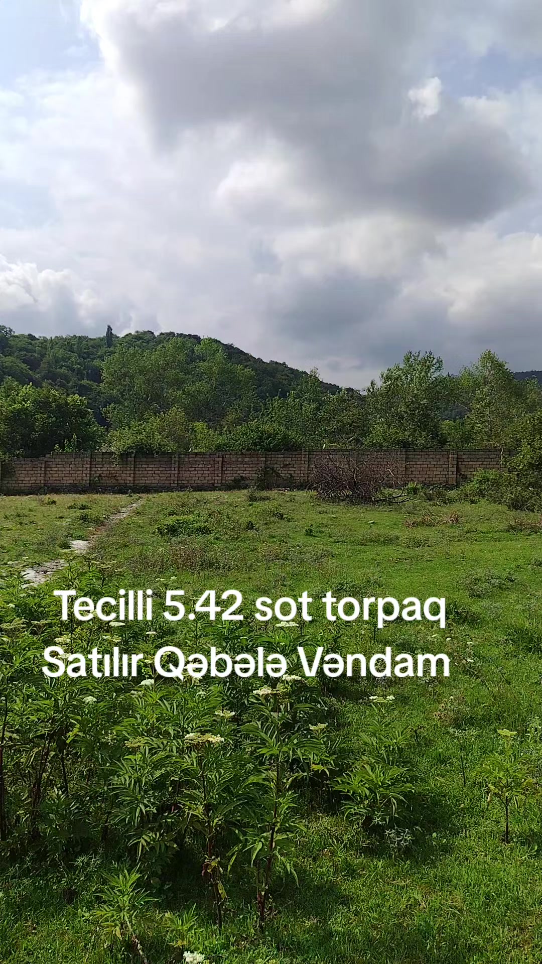 @Salam Salam