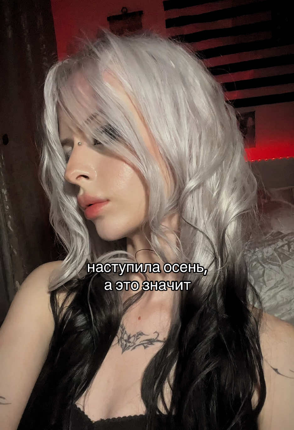 @╋━ тгк: пятница.ру ━╋