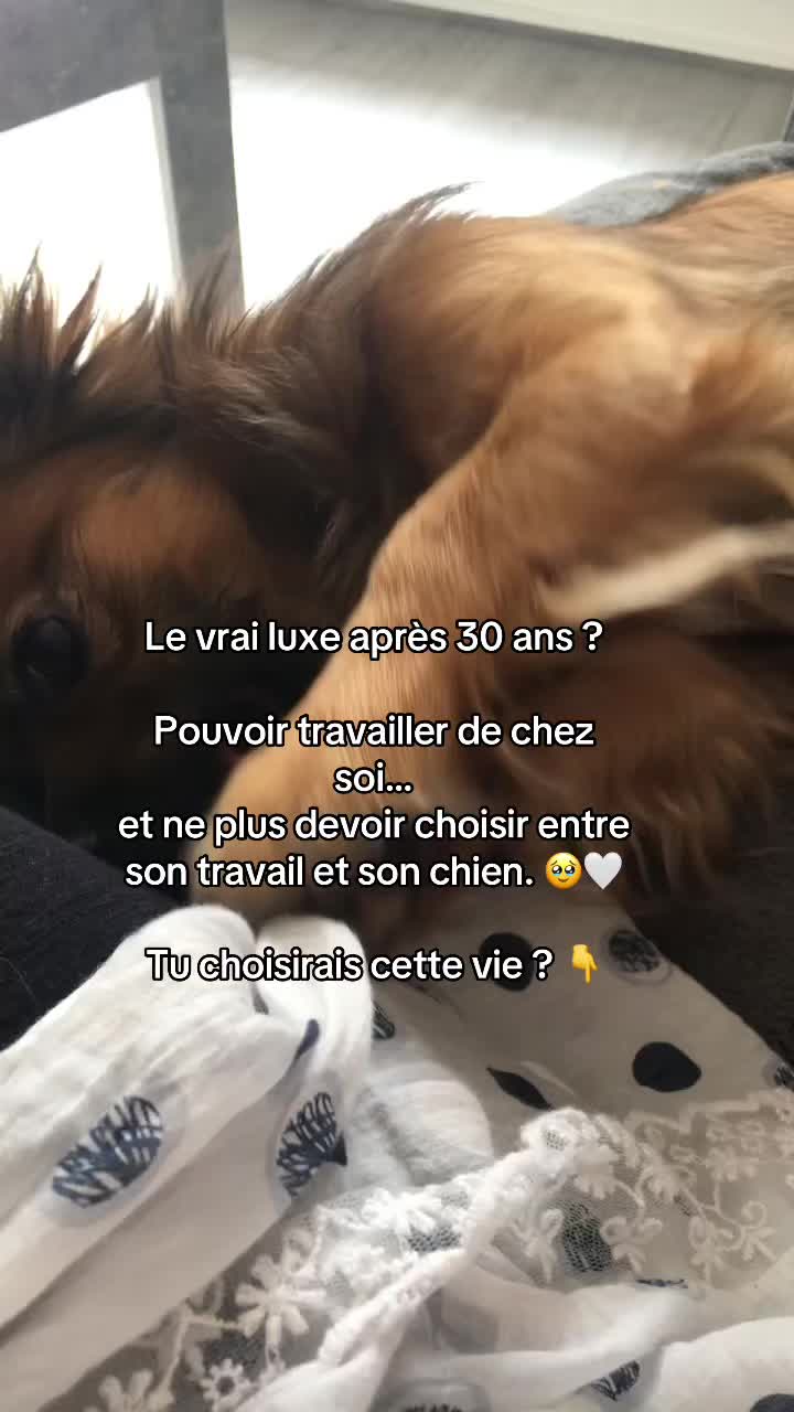 @Ana&iuml;s | Business en ligne 🌸✨