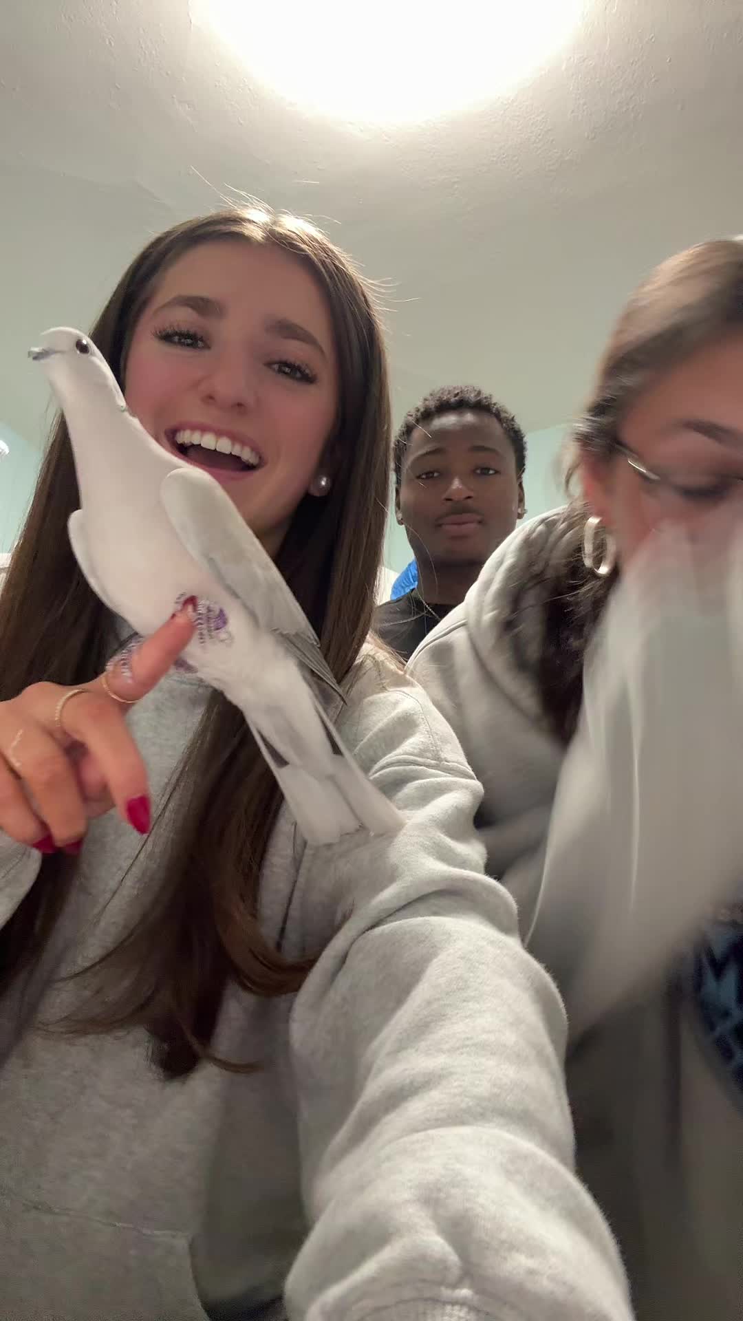 @catiehaslam