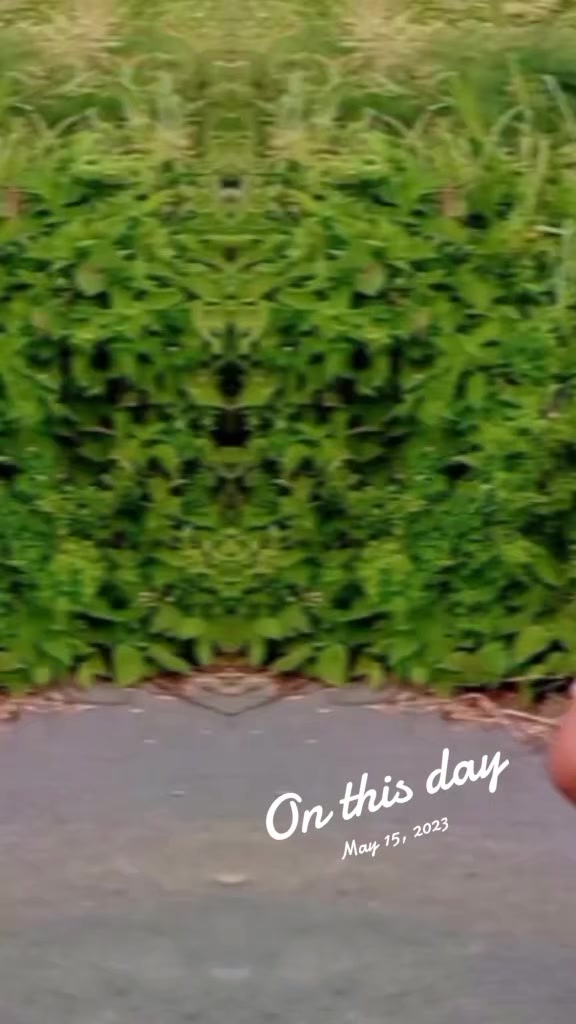 @1️⃣Ĺìŝà Ňêvã2️⃣✨️🦋🫣