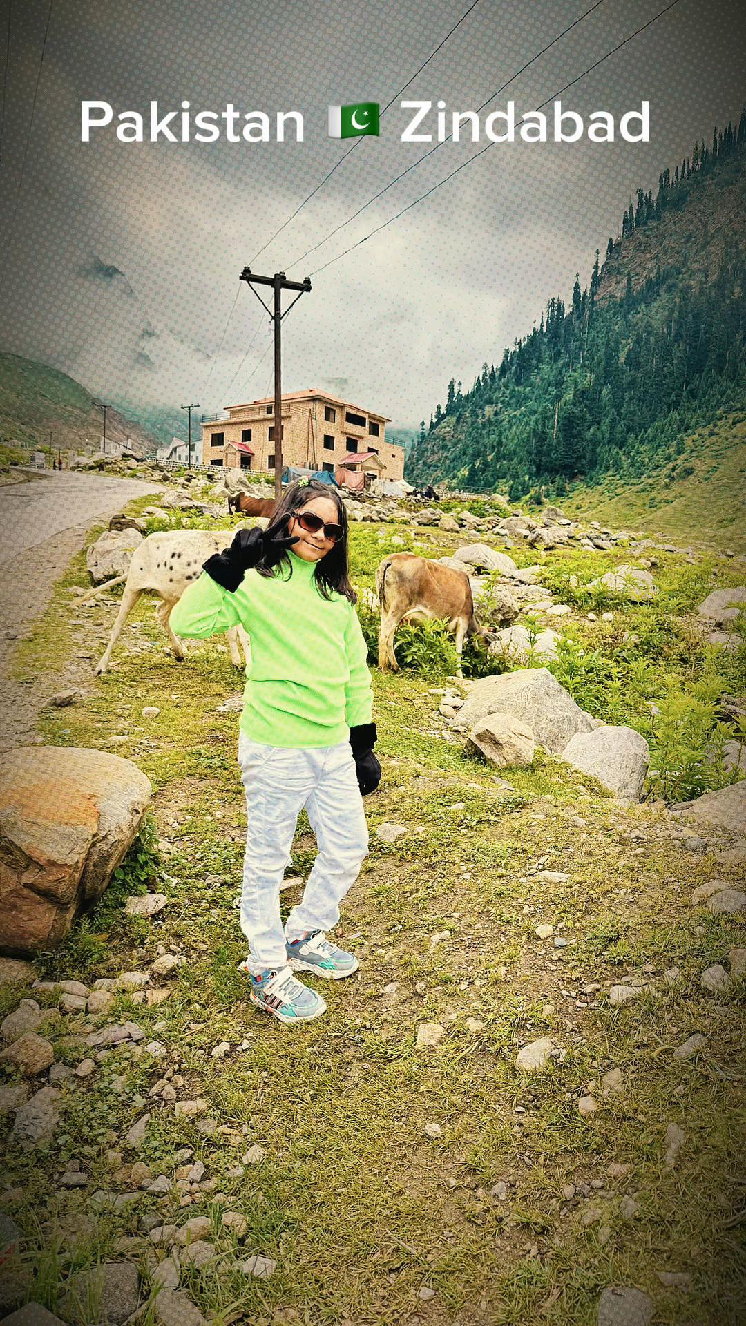 @Rafaqat Gill