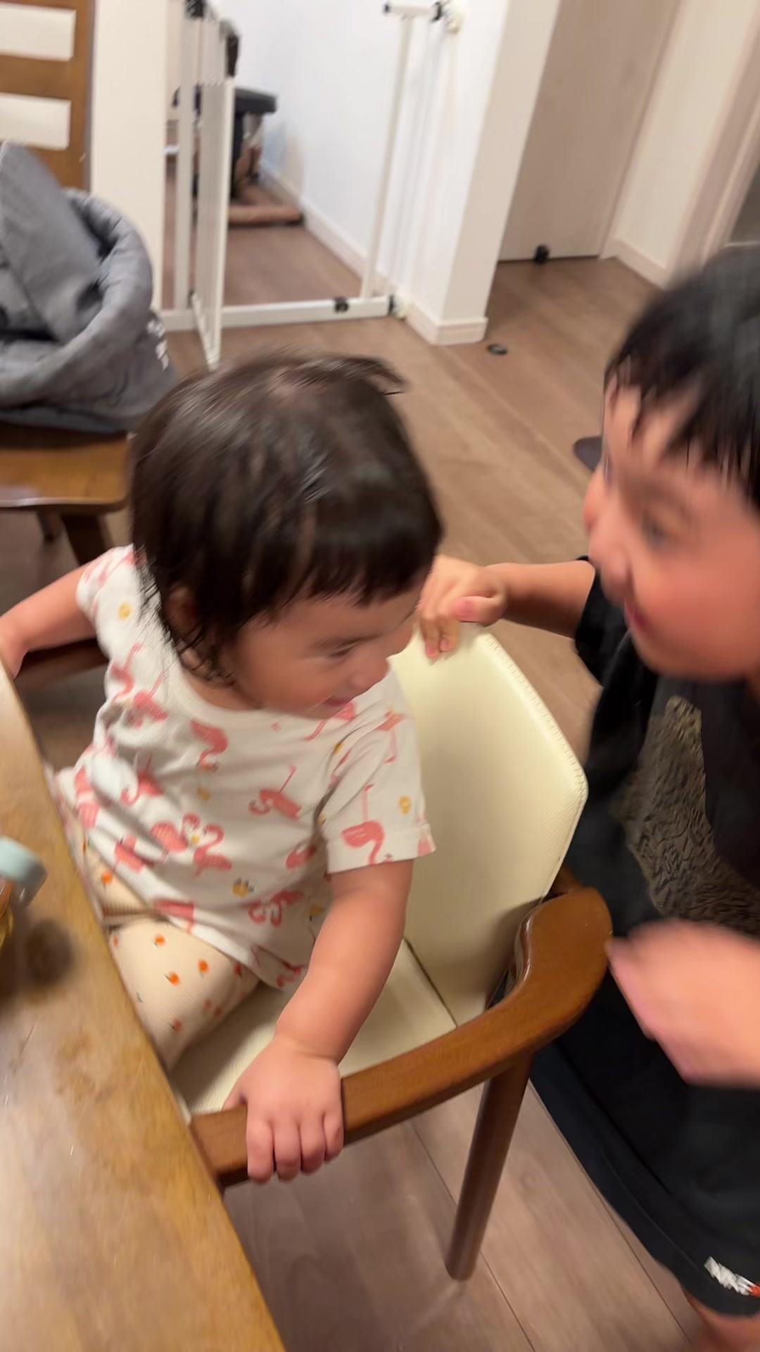 @kotokafuruyama