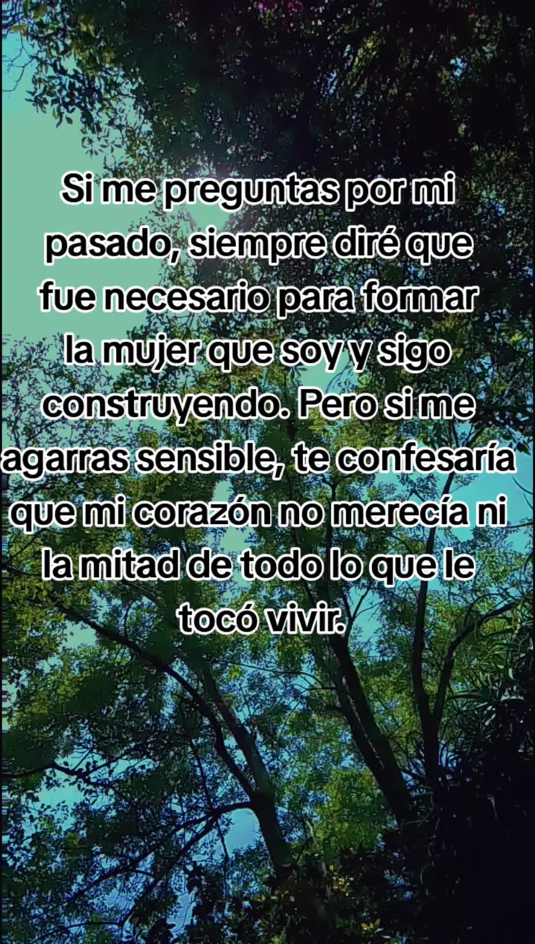 @paubonii