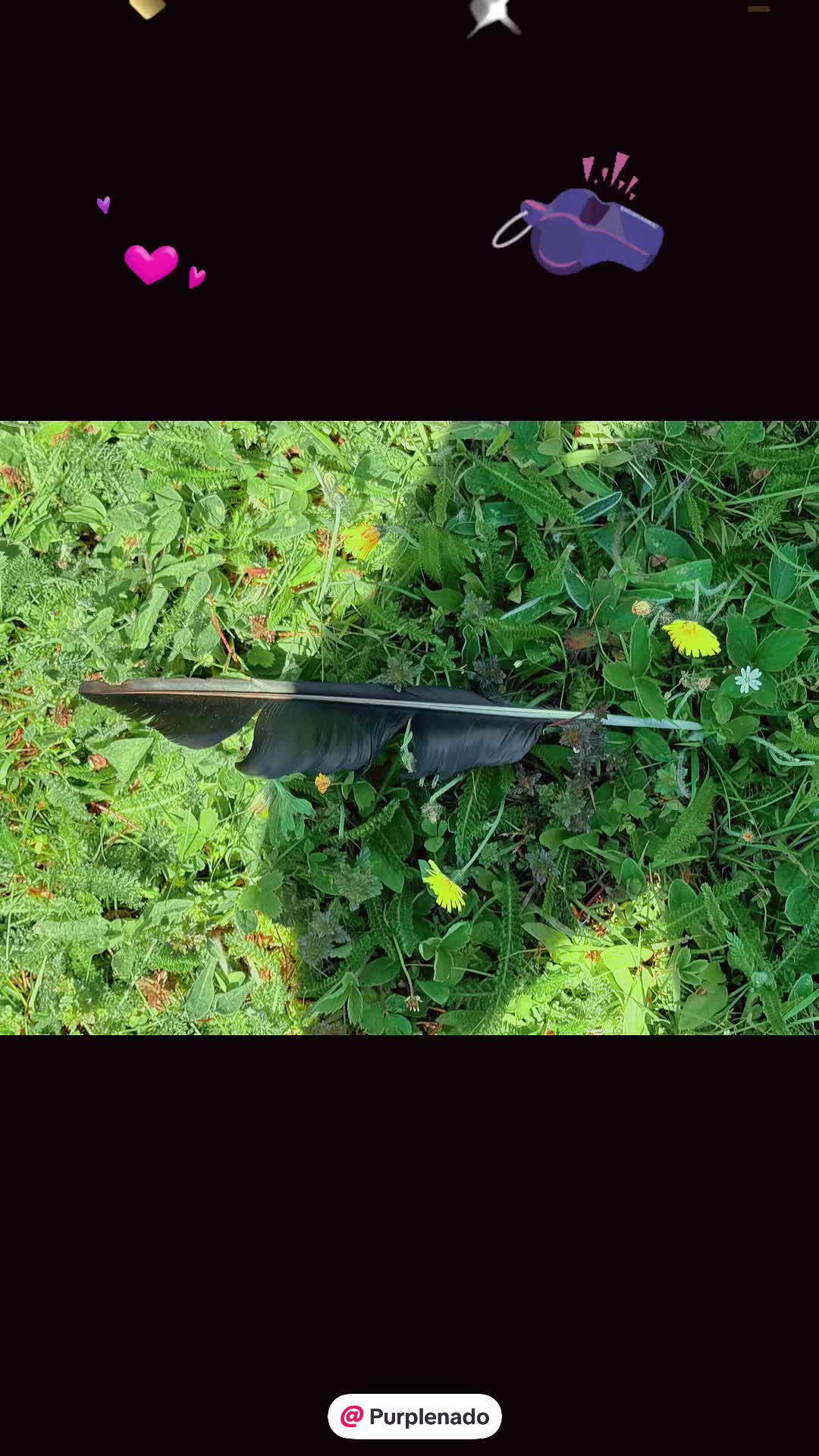 @Purplenado