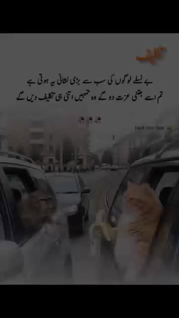 @ranja g 502