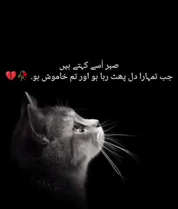 @ا۔د۔ا۔س😢