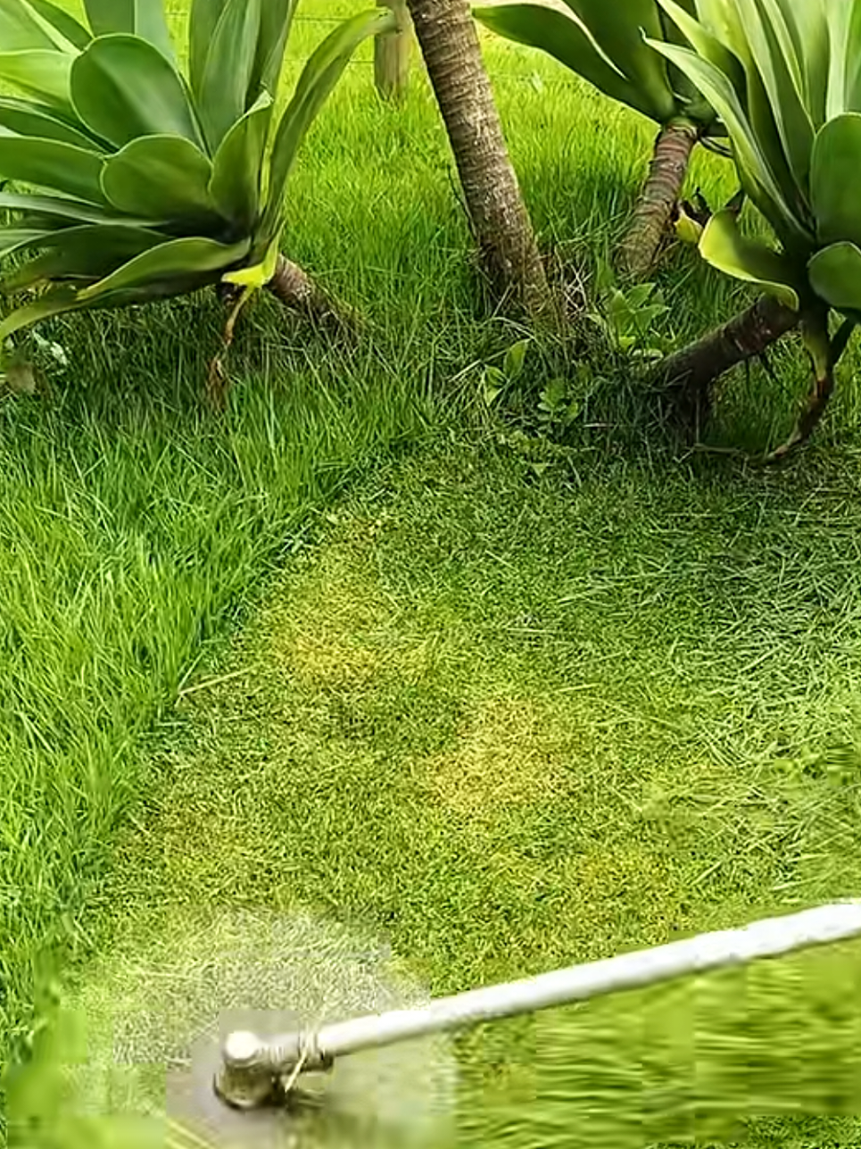 @Satisfying Mowing
