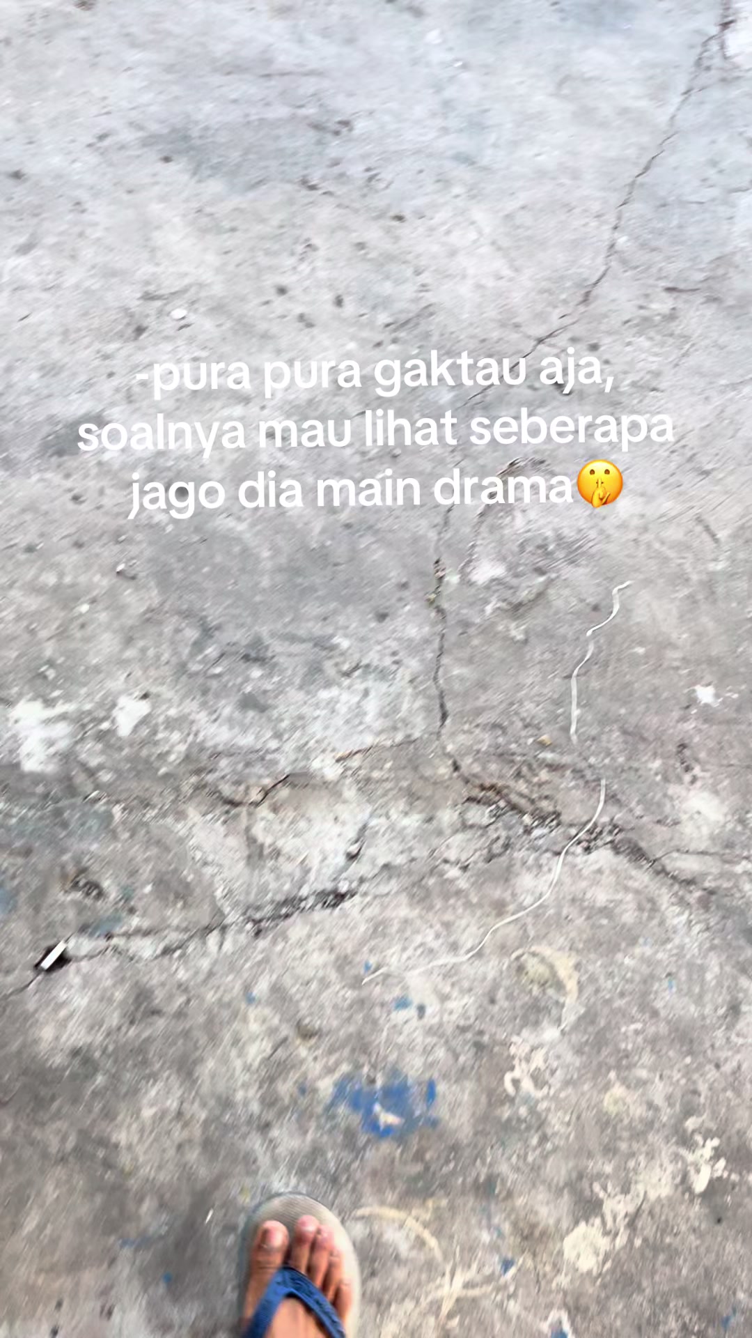 @๐๐๐๐ฒ๐ต_๐ฏ๐ฟ๐๐๐ฎ๐น๏ฃฟ