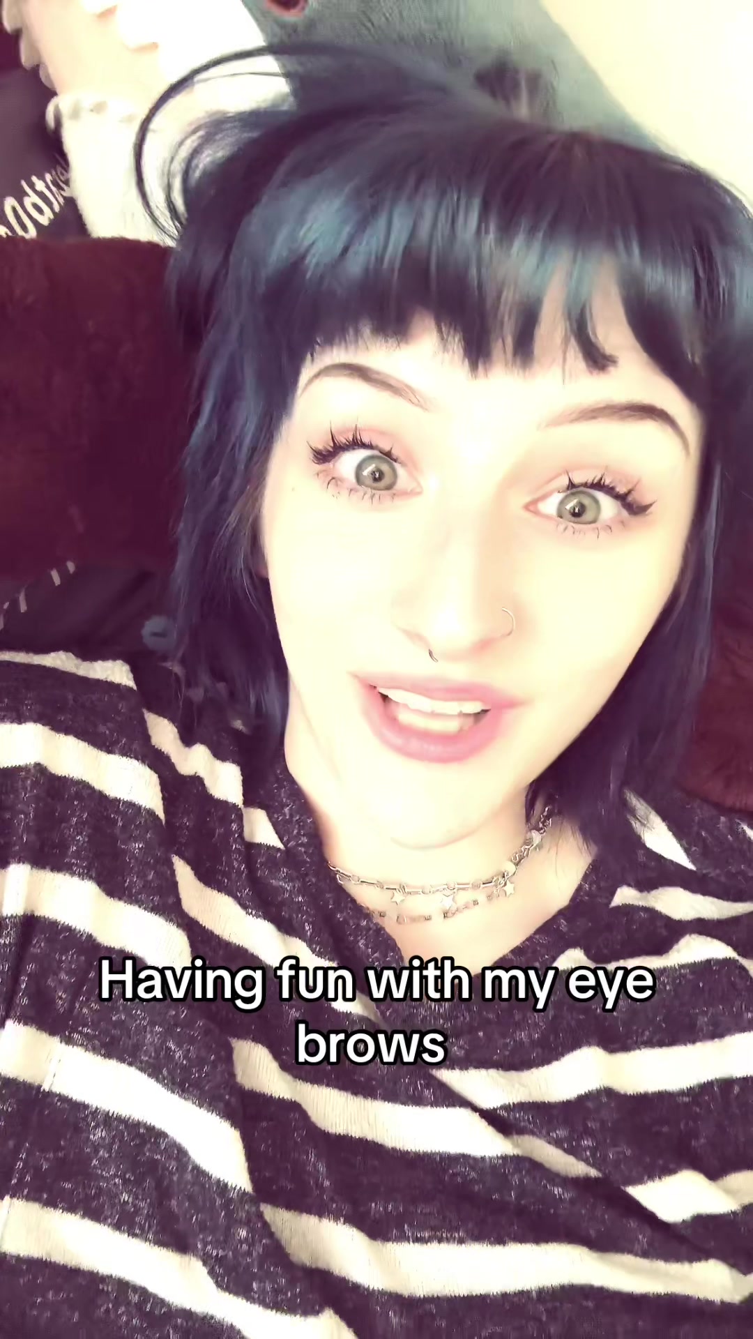 @ourple ouppy