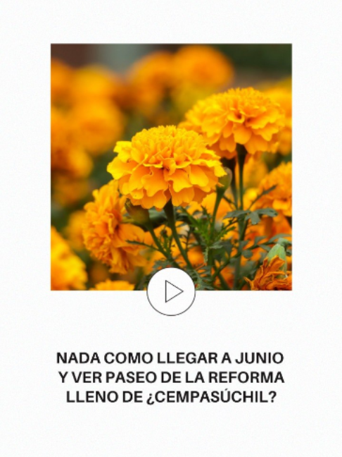 @adn Noticias