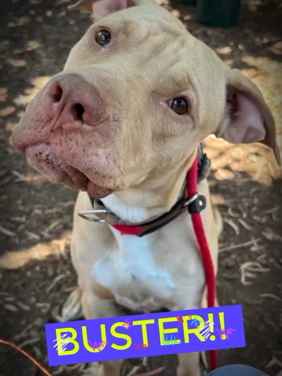 @Oakland Animal Services