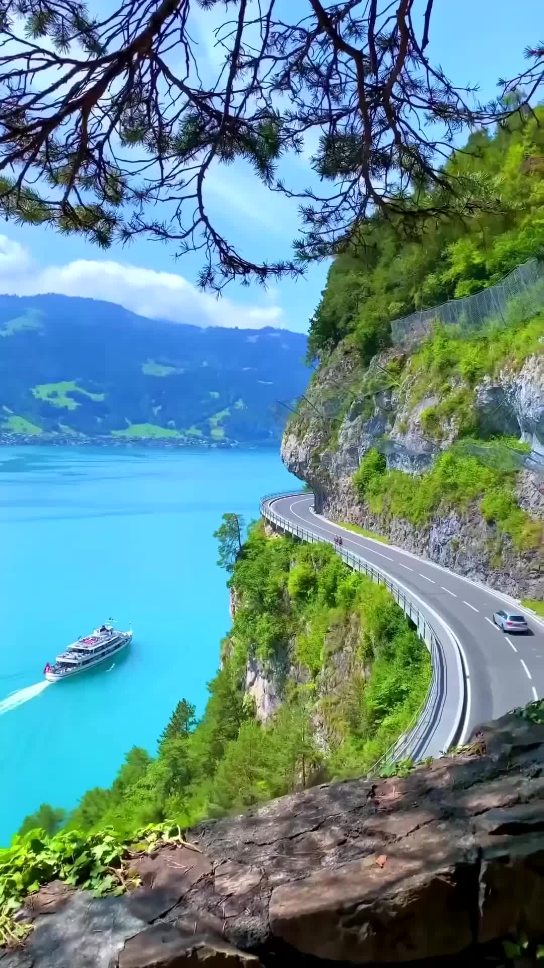 @alnxsssss82267600