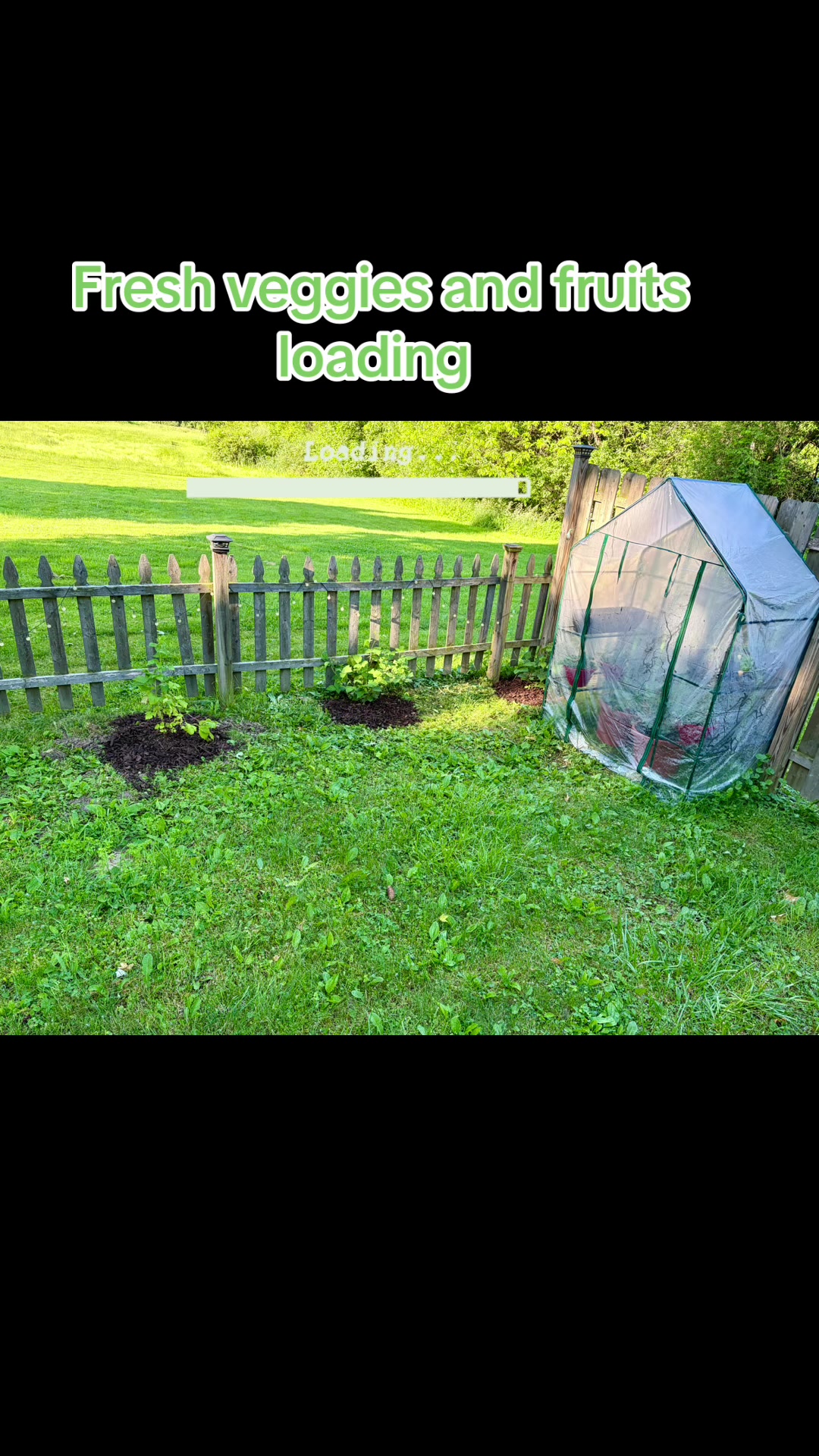 @Resistance Homesteaders