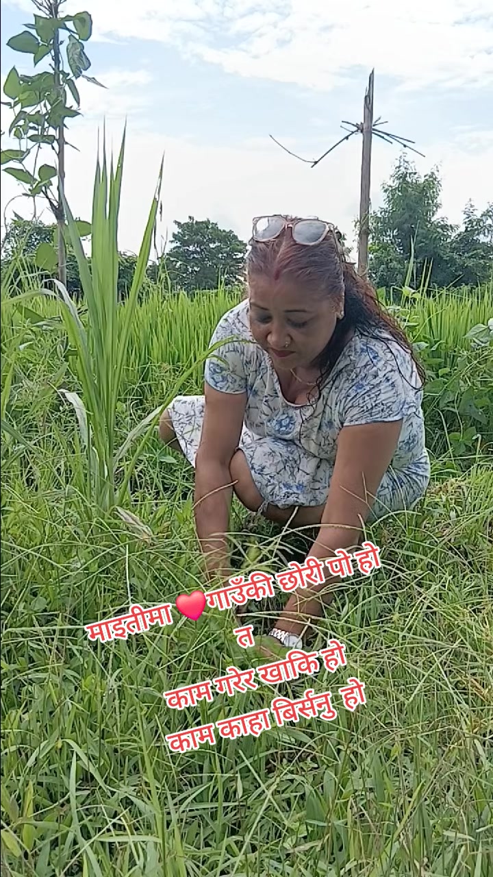 @Tara Pokhrel