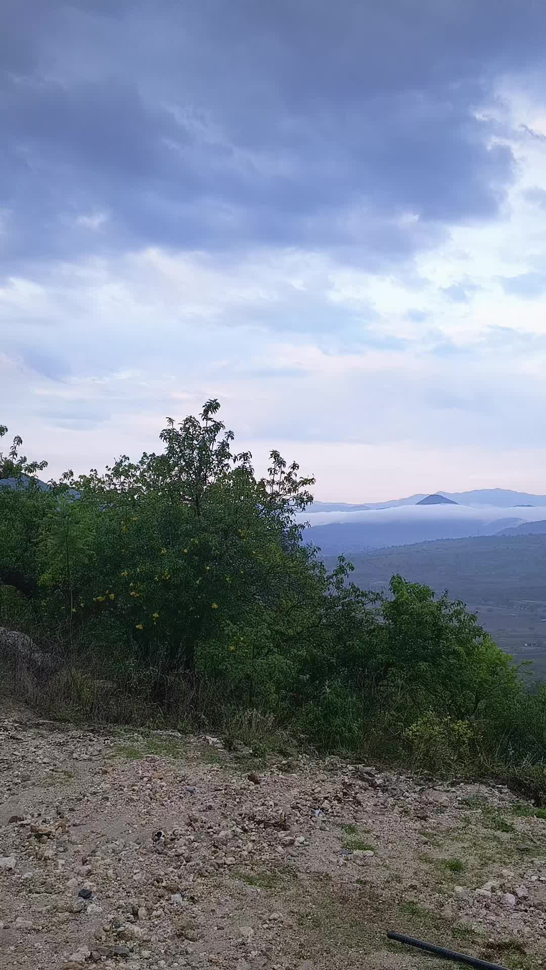 @ismael.ortiz