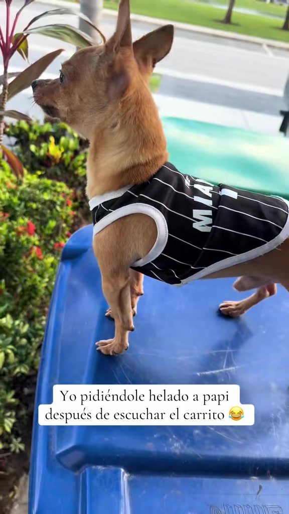 @Gloria Hernandez