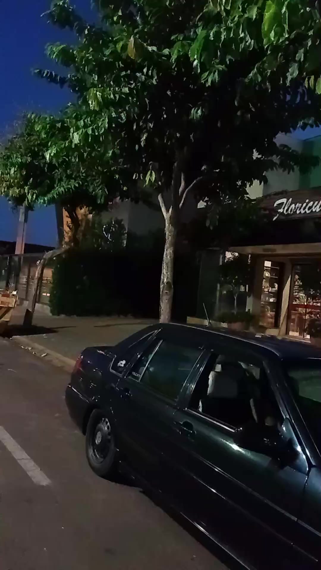 @Santana TL 🔥