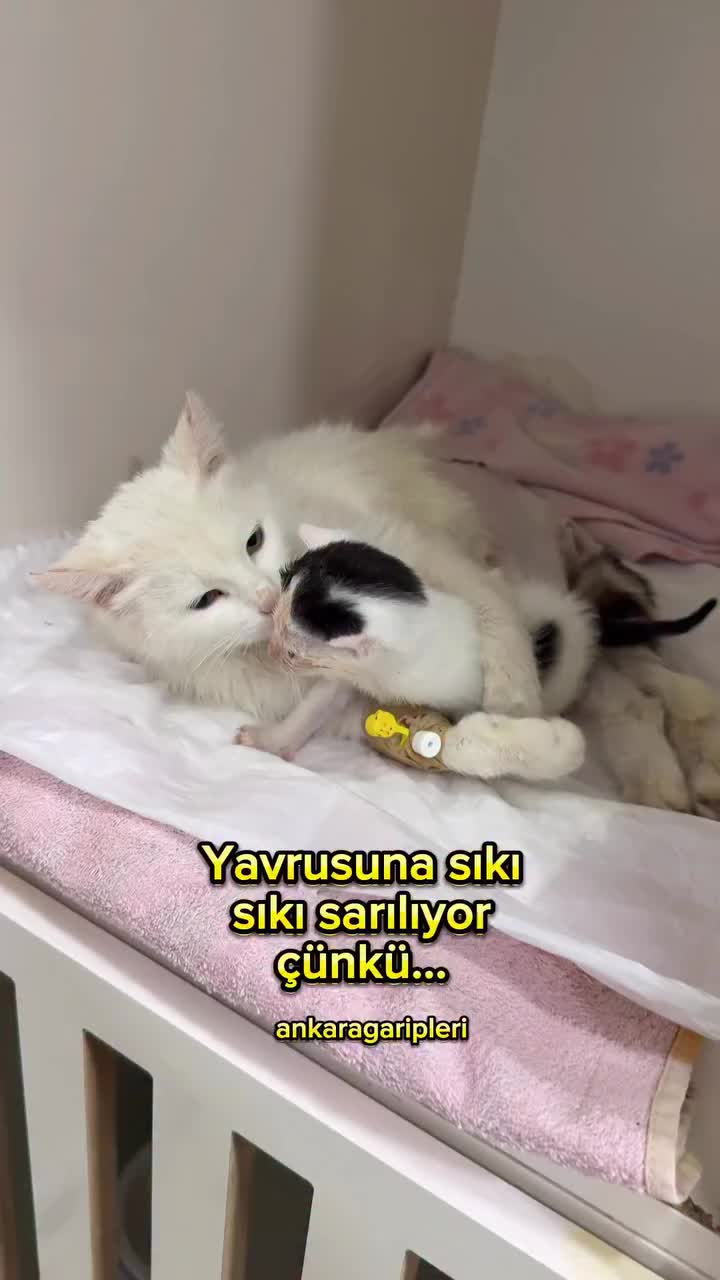 @Asiye