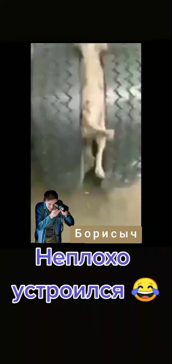 @Борисыч📸📹