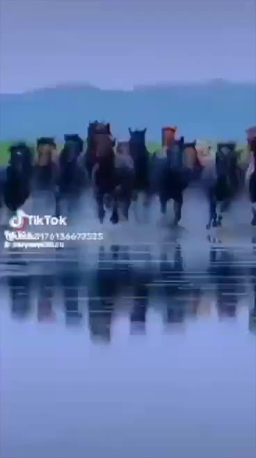 @Турусбек Ажыбаев