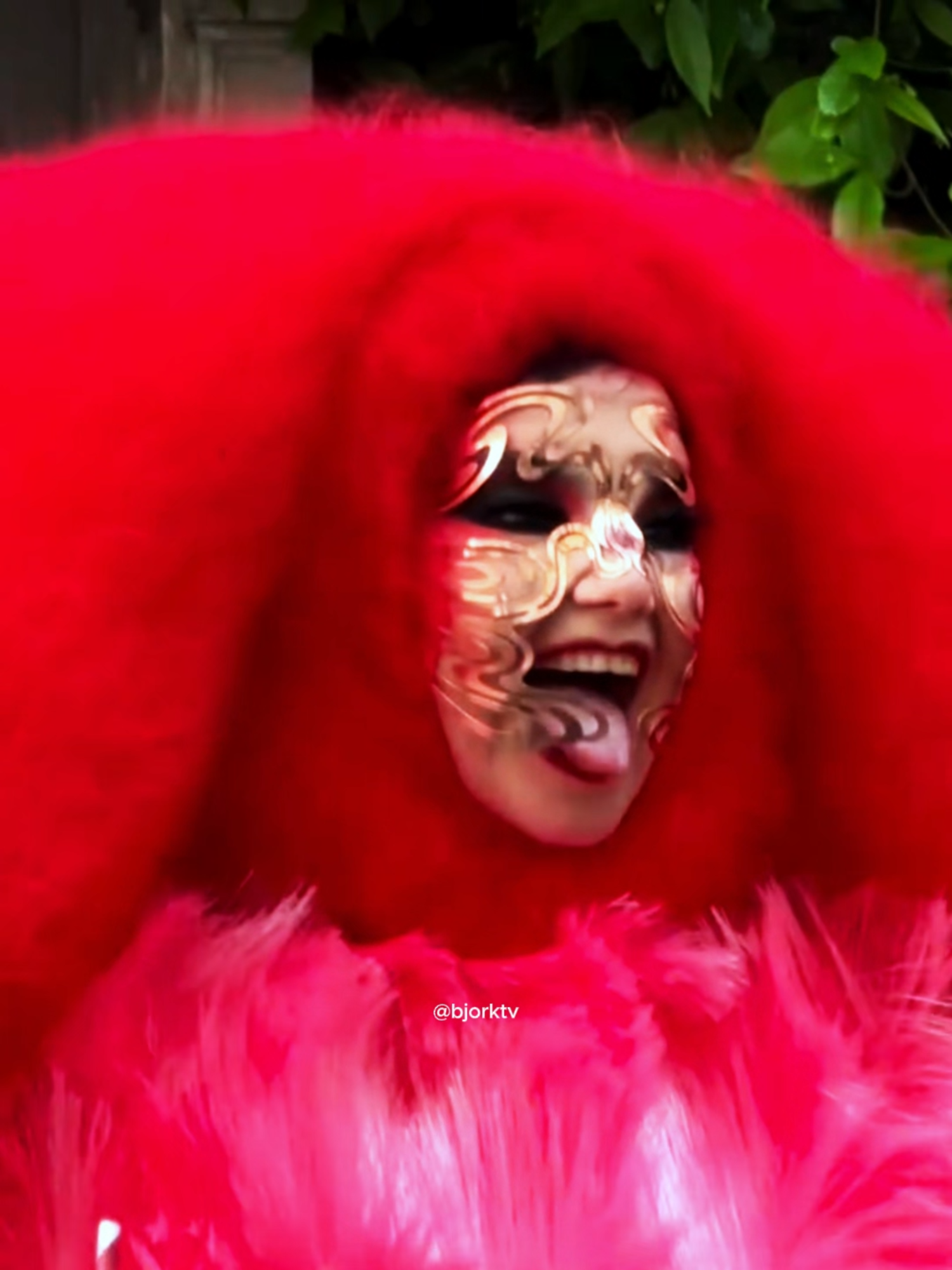 @björk