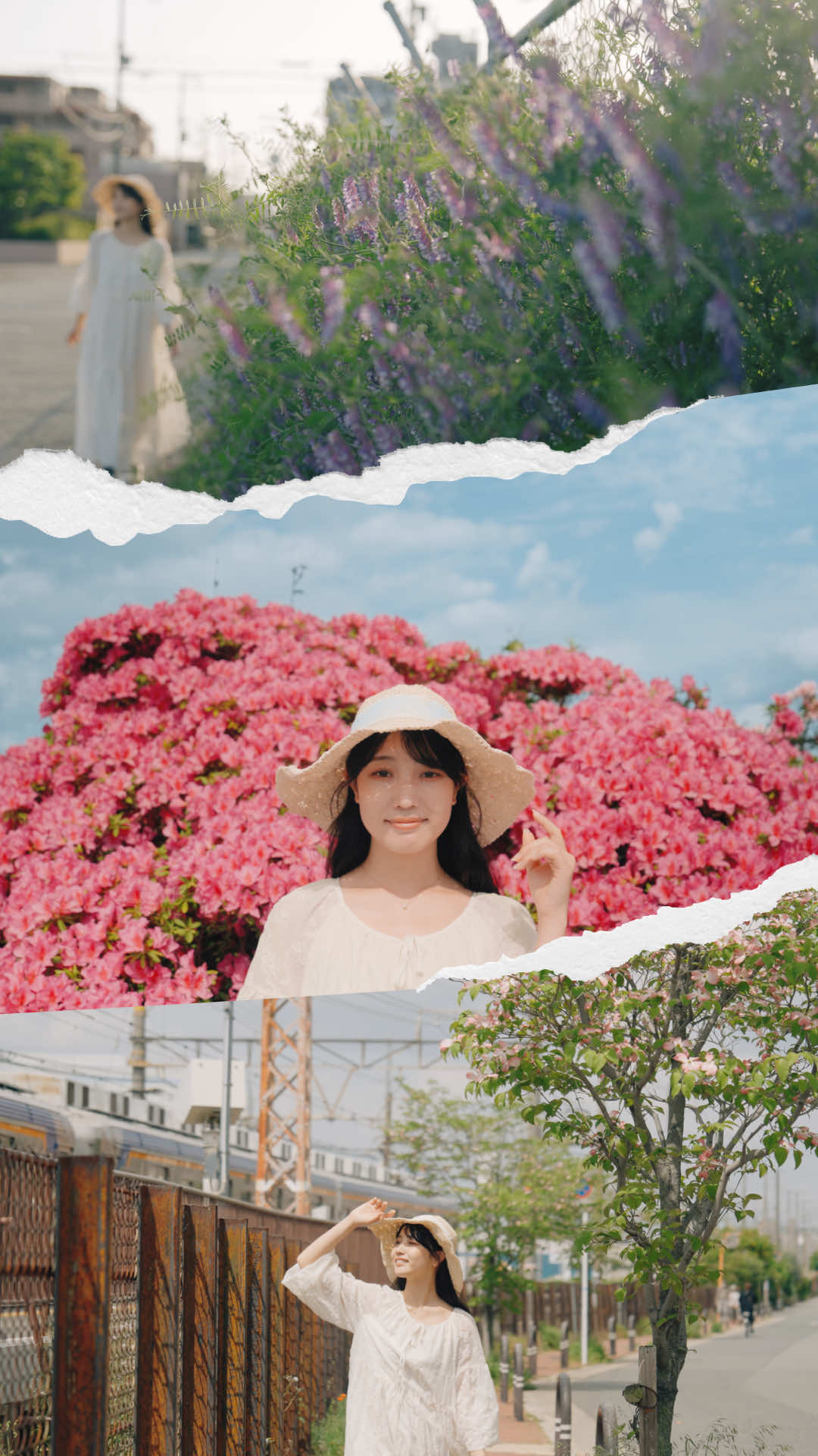 @シライフウタ