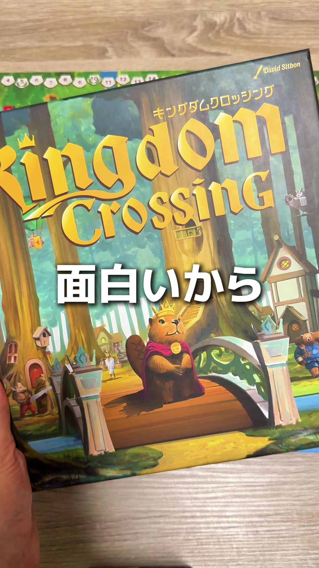 @せと【ボードゲーム紹介】