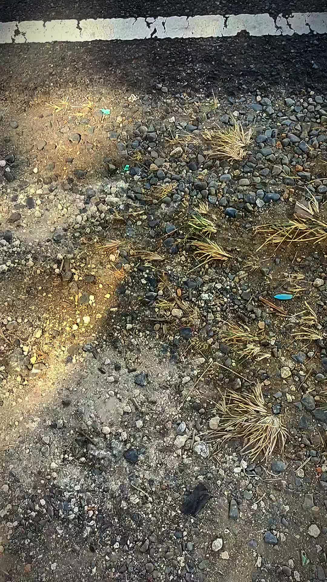 @Al697