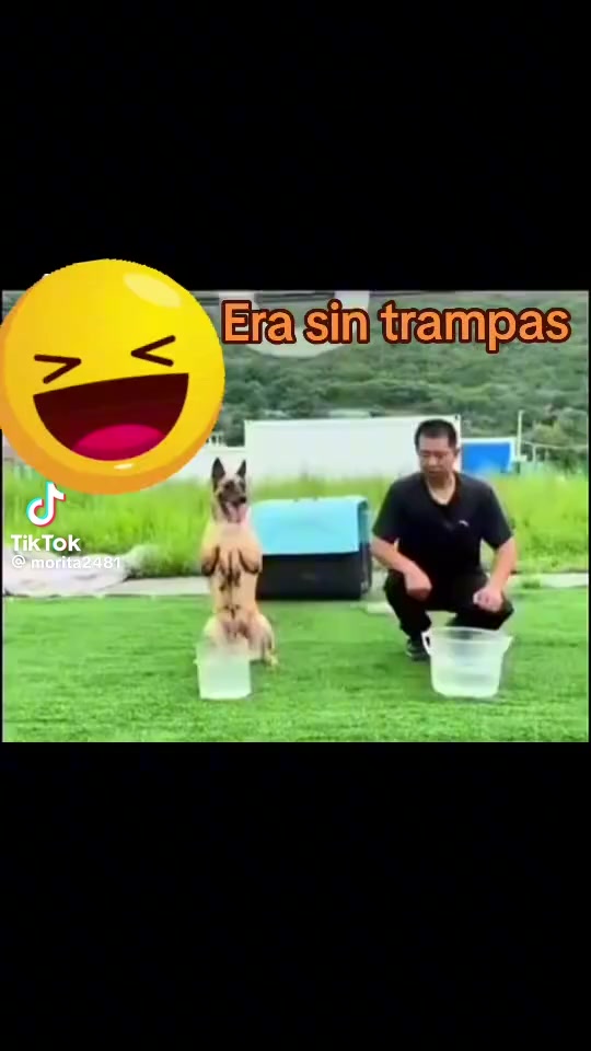 @PolillaClau🤣🤣❤️❤️