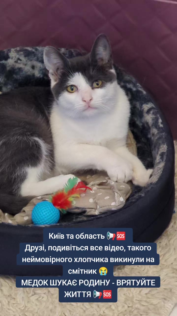 @MosakAnimalHub