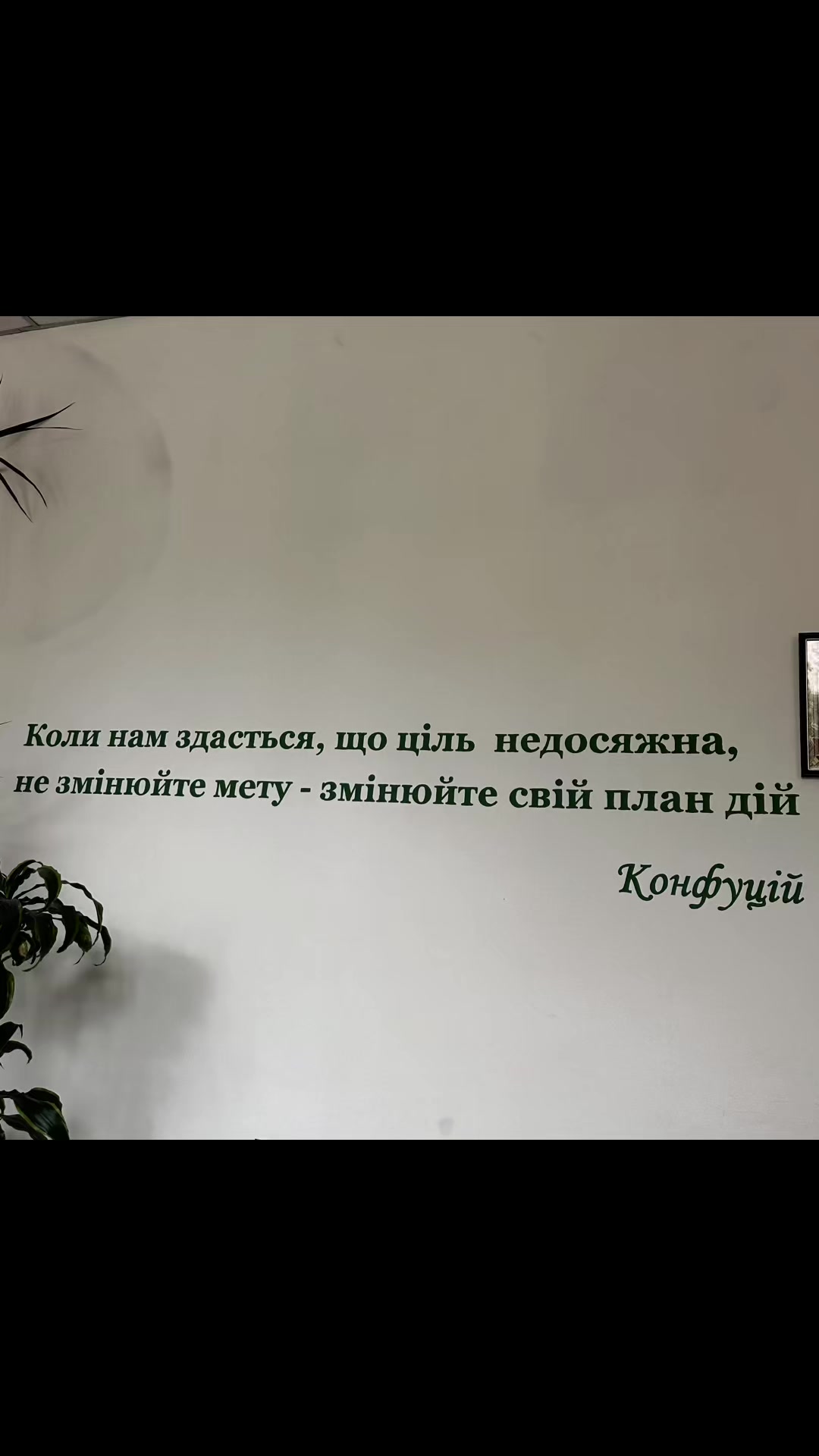 @⚖️Svet_lana⚖️
