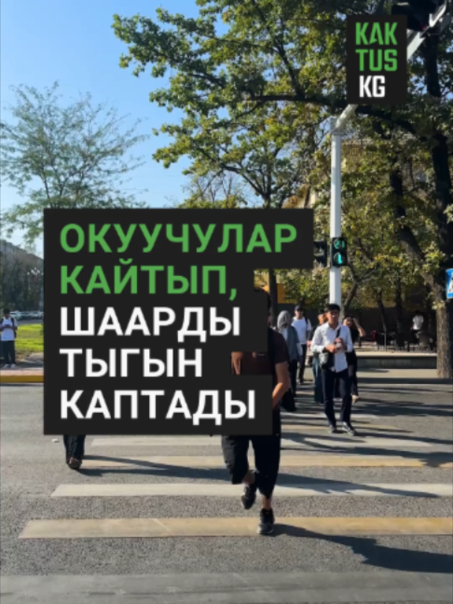 @Kaktus KG
