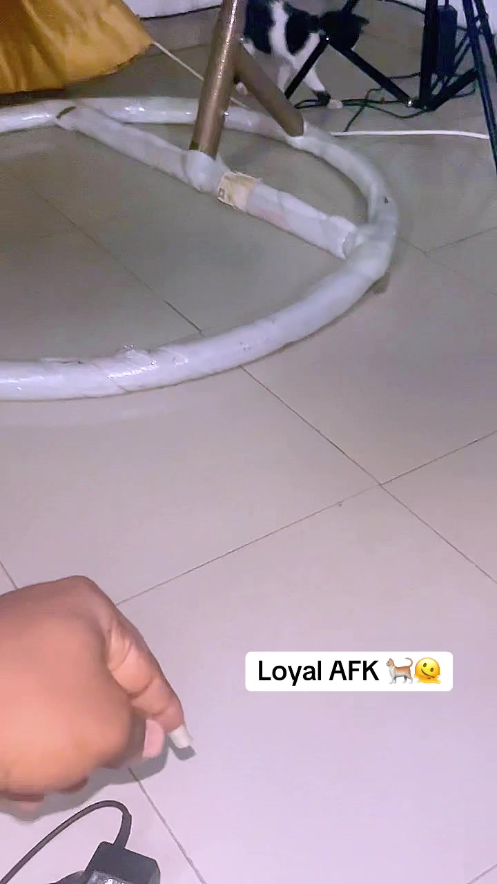 @Ambepaul