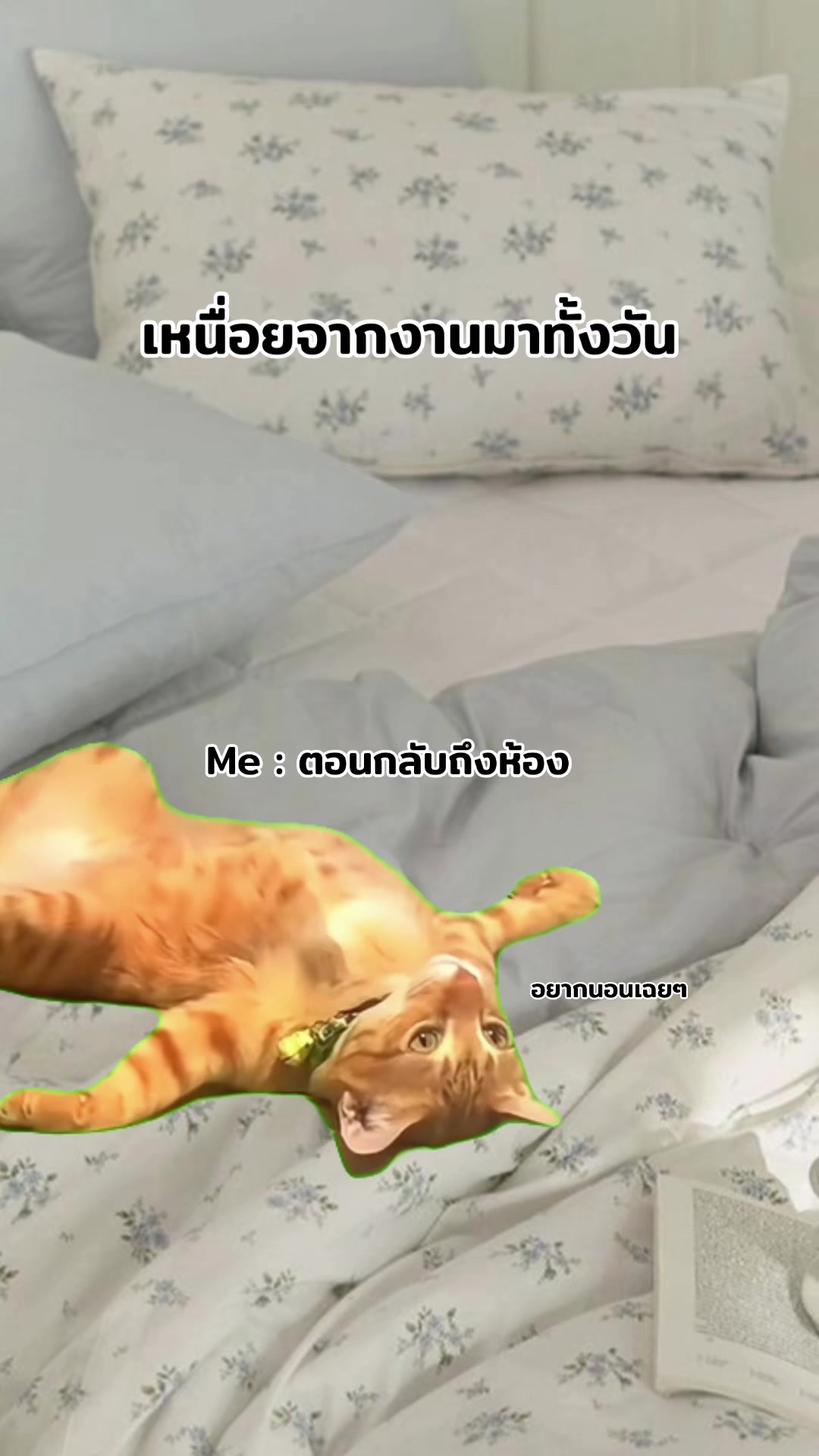 @ฮิปโปตด