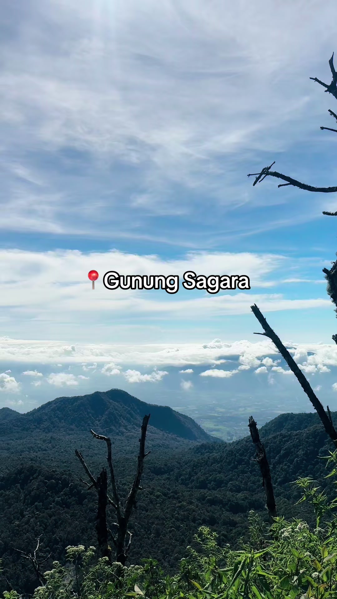 @Kultur Jaringan