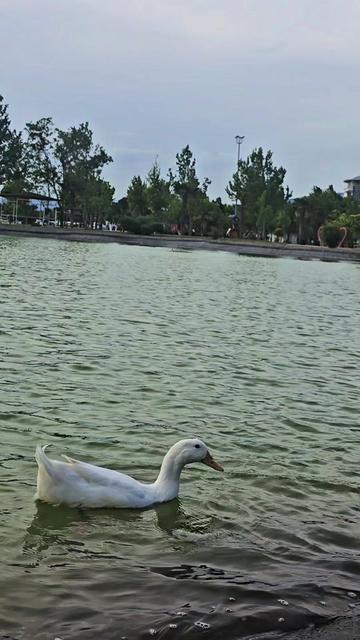 @KARACABEY'E DAİR HER ŞEY