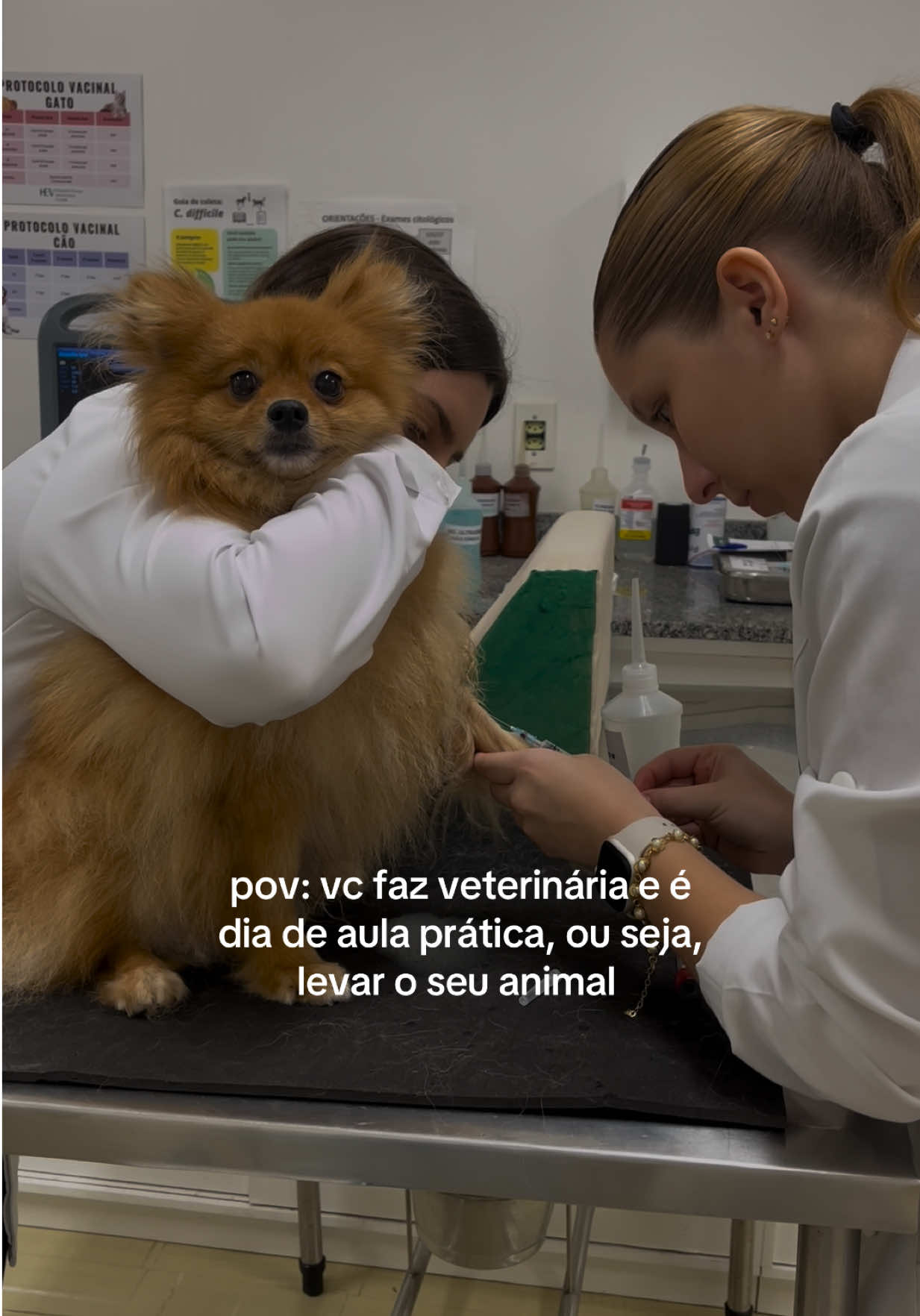 @ju
