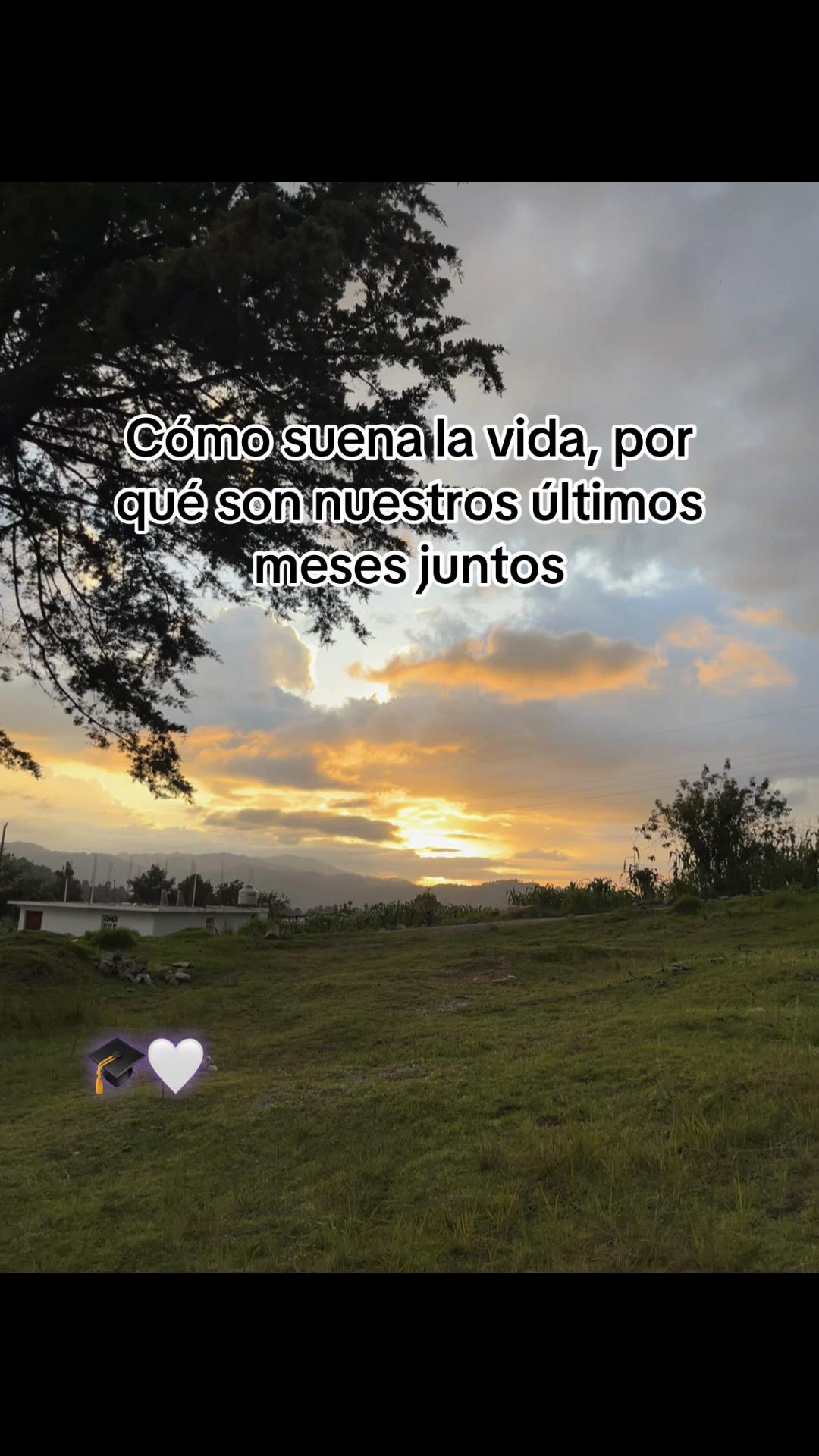 @promo2026🎓🤍🥺